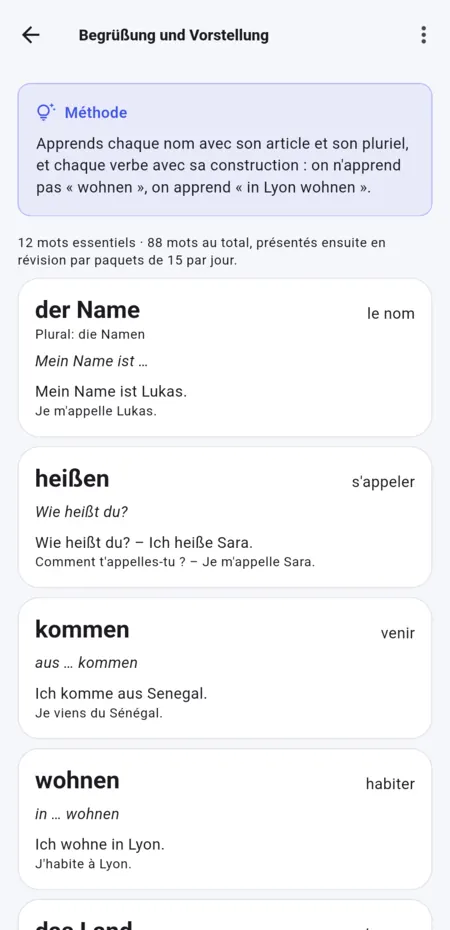 Leçon de vocabulaire : chaque mot avec son article, son pluriel, un exemple et sa traduction.
